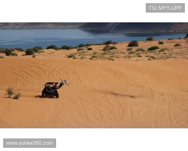 成都飞盘队在极限运动世界杯积分榜中以87分稳居第一名引发关注