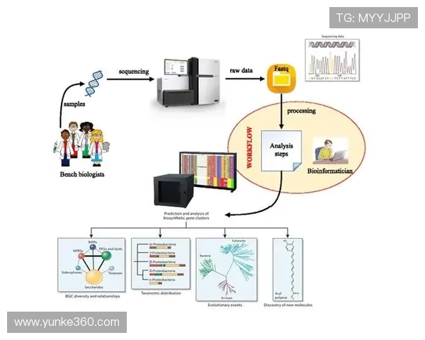 武汉极限运动队灵活性表现的数据分析与提升策略探讨 武汉极限运动队灵活性表现的数据分析与提升策略探讨