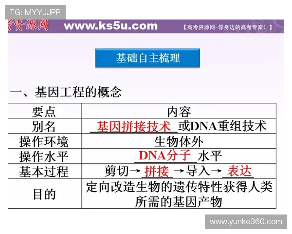 深入探讨VS2012日期功能的应用与优化技巧分享